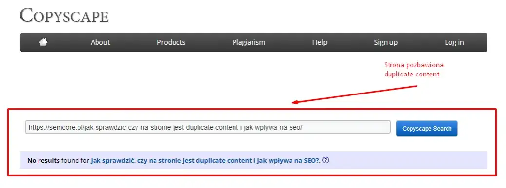 Duplicate content: Jak wykryć i wyeliminować? Pełen poradnik.