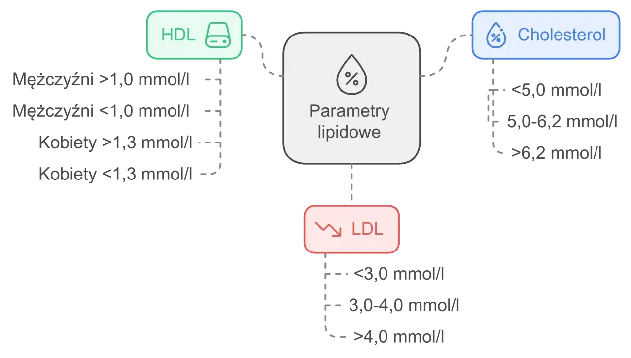 Schemat parametrów lipidowych: HDL, LDL i cholesterol. Wysokie triglicerydy mogą wpływać na te wyniki.