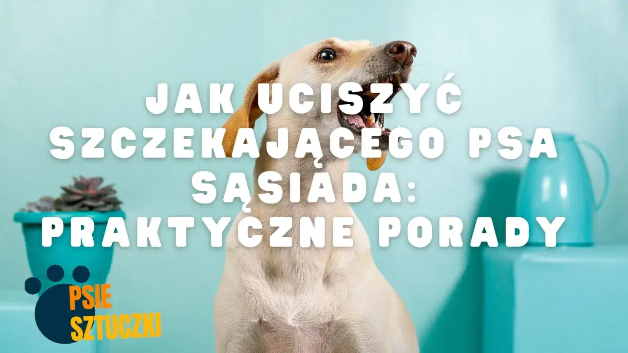 Jasny piesek siedzi na jasnoniebieskim tle, z białym tekstem "JAK UCIŚZYĆ SZCZEKAJĄCEGO PSA SĄSIADA: PRAKTYCZNE PORADY".