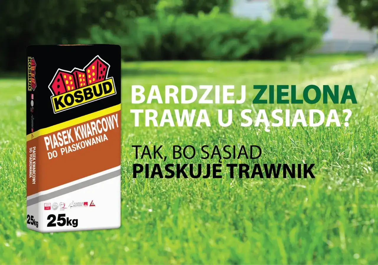 Jaki piasek do trawnika? Wybierz idealny i zyskaj murawę marzeń