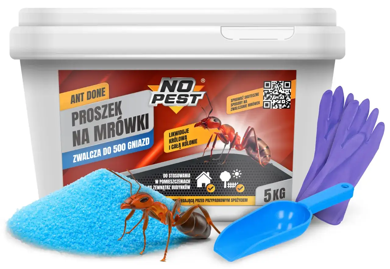 Mrówki w ogrodzie: wróg czy sprzymierzeniec? Skuteczne metody walki