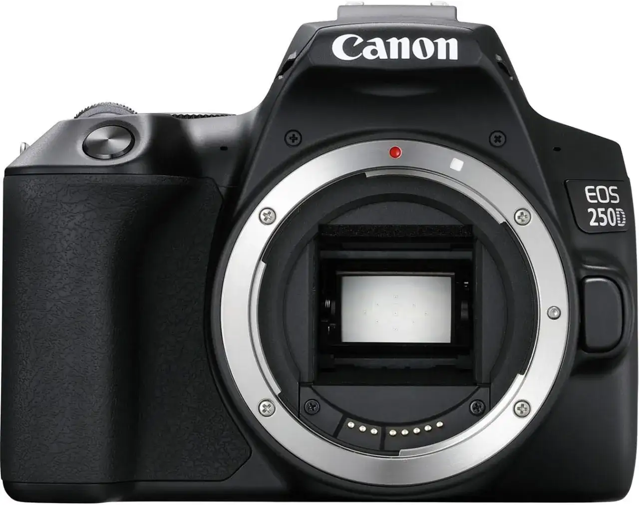 Najtańsza lustrzanka Canon: wybierz najlepszy model dla początkujących