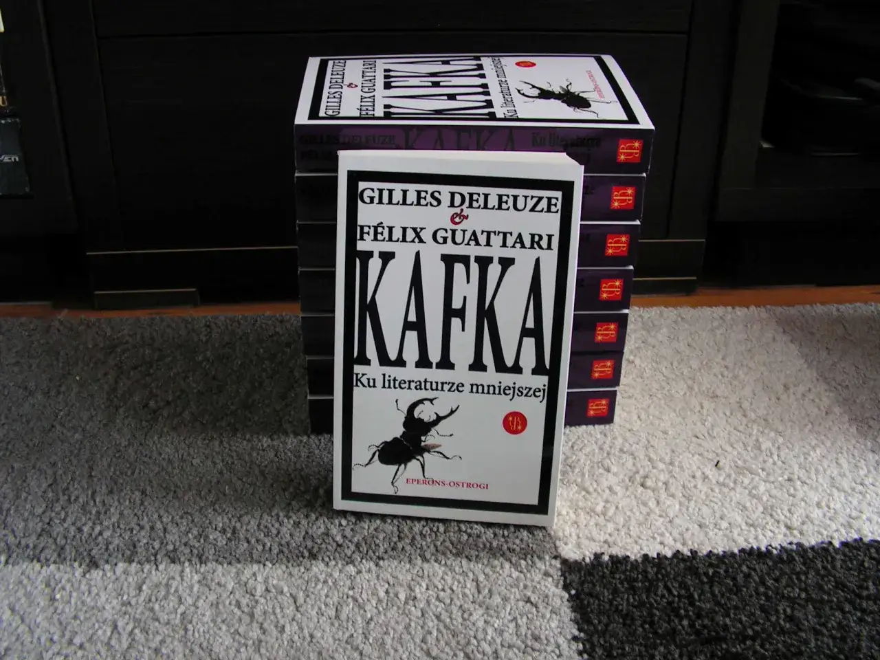 Franz Kafka "Przemiana": streszczenie, analiza, interpretacje czytaj!