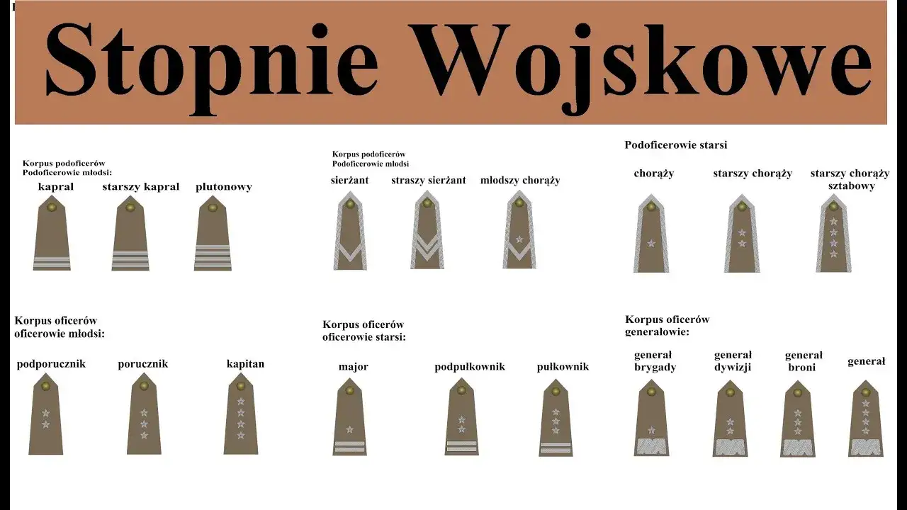 Podporucznik po studiach: Twoja ścieżka kariery oficerskiej