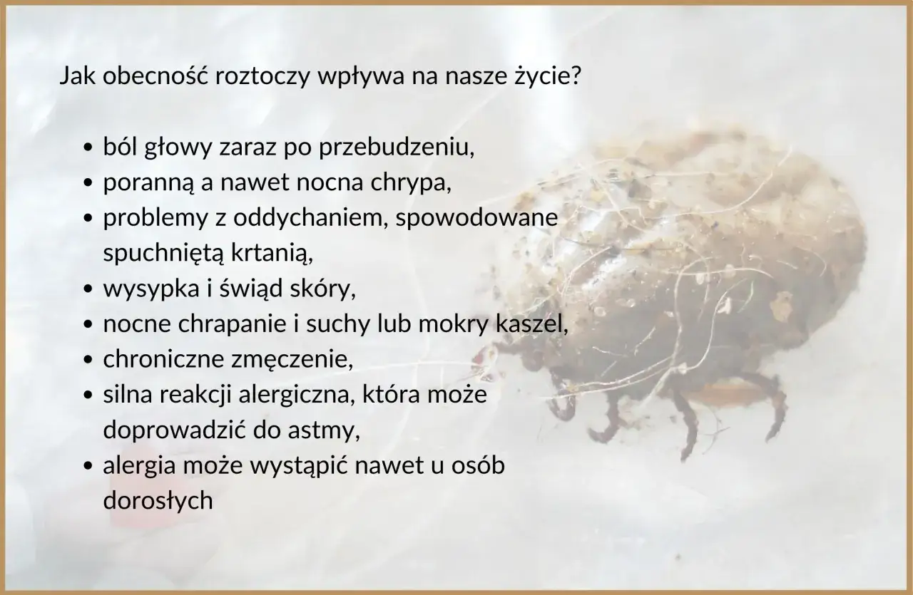 Roztocza, niewidoczny kurz, wywołują alergie, bóle głowy, problemy z oddychaniem i kaszel.