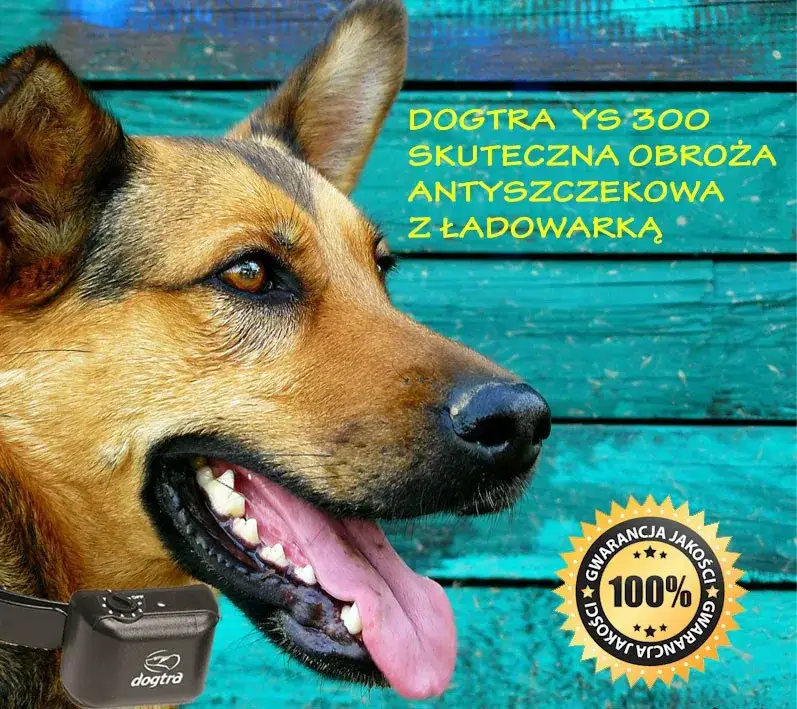 Czy obroża antyszczekowa działa? Skuteczność i kontrowersje w użyciu