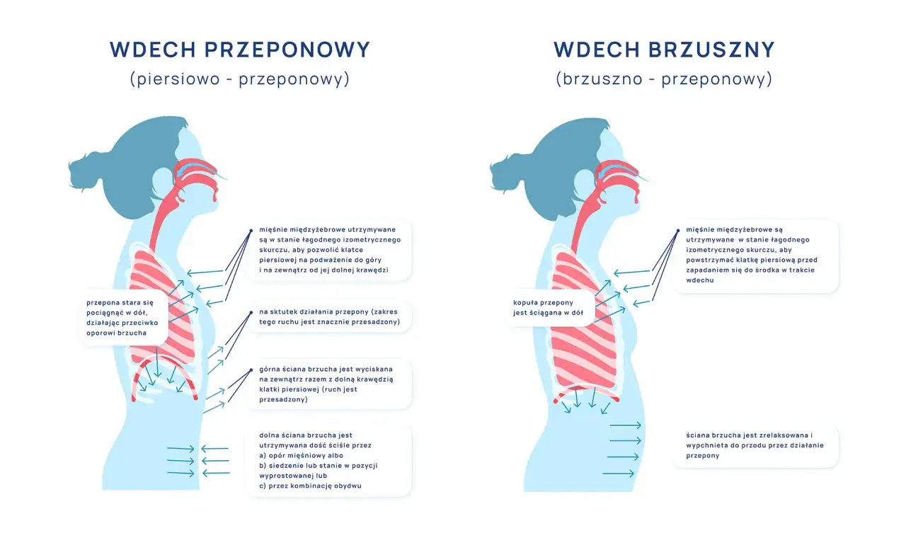 Ilustracja pokazuje dwa typy wdechu: piersiowo-przeponowy i brzuszno-przeponowy. W obu przypadkach kluczowe jest **oddychanie przeponowe**, które angażuje przeponę do głębszego wdechu.