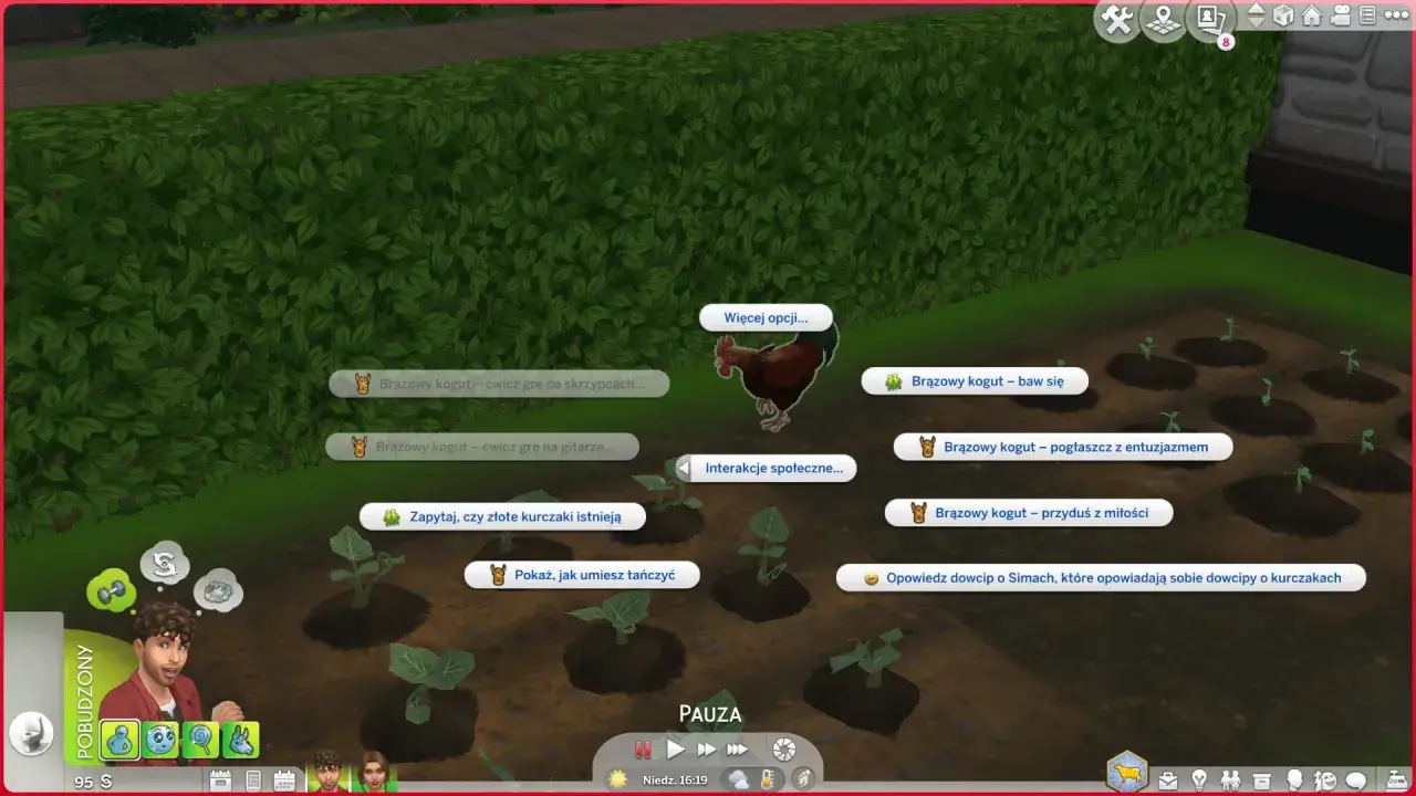 Sims 4 ciekawostki: brązowy kogut ćwiczy grę na skrzypcach, gitarze, bawi się, a nawet opowiada dowcipy o kurczakach.