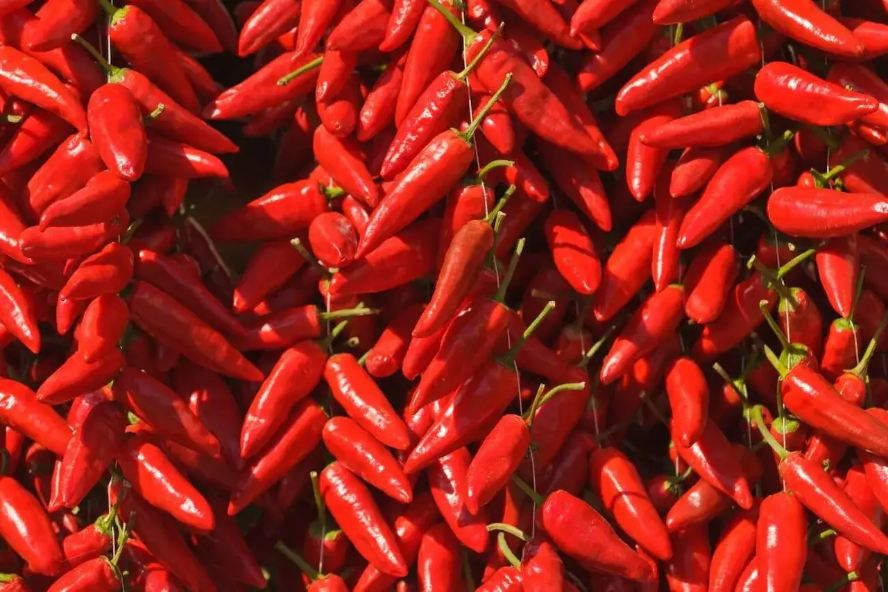 Peperoni - papryka czy ostra wędlina? Sprawdź, jak uniknąć pomyłki