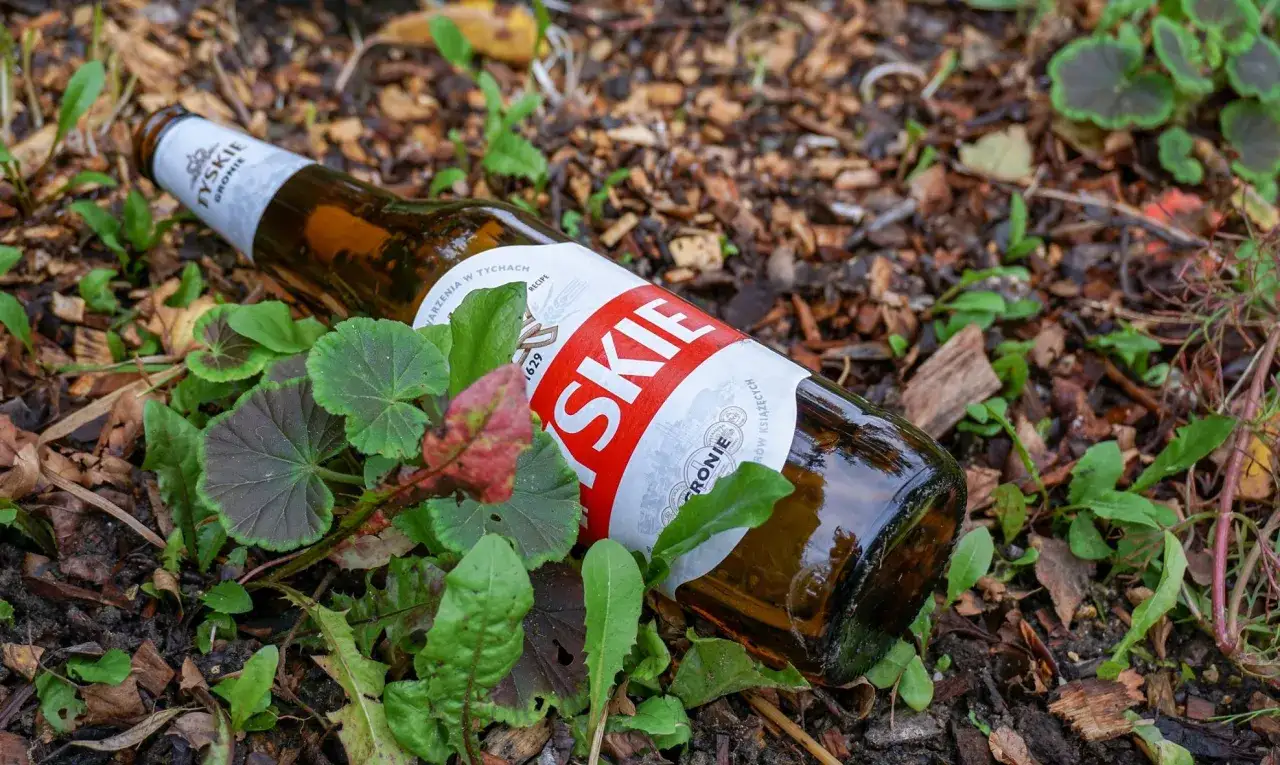 Butelka piwa Tyskie leży wśród zieleni. Słońce mogło spowodować, że piwo śmierdzi skunksem, bo światło rozkłada chmiel.