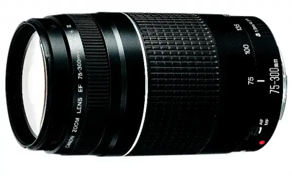 Obiektyw 75-300: Zastosowania, porady i sekrety ostrych zdjęć
