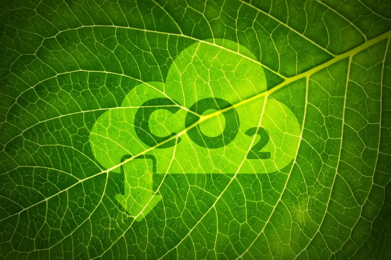 Redukcja emisji CO2: Co musisz wiedzieć o zielonej transformacji?