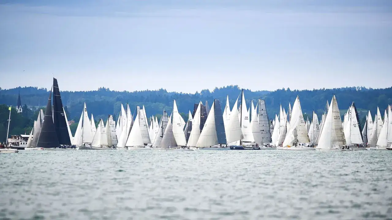 Viele Segelboote kämpfen bei einer spannenden Segelregatta aktuell um die Wette. Die Boote mit weißen und schwarzen Segeln sind auf dem Wasser dicht beieinander.