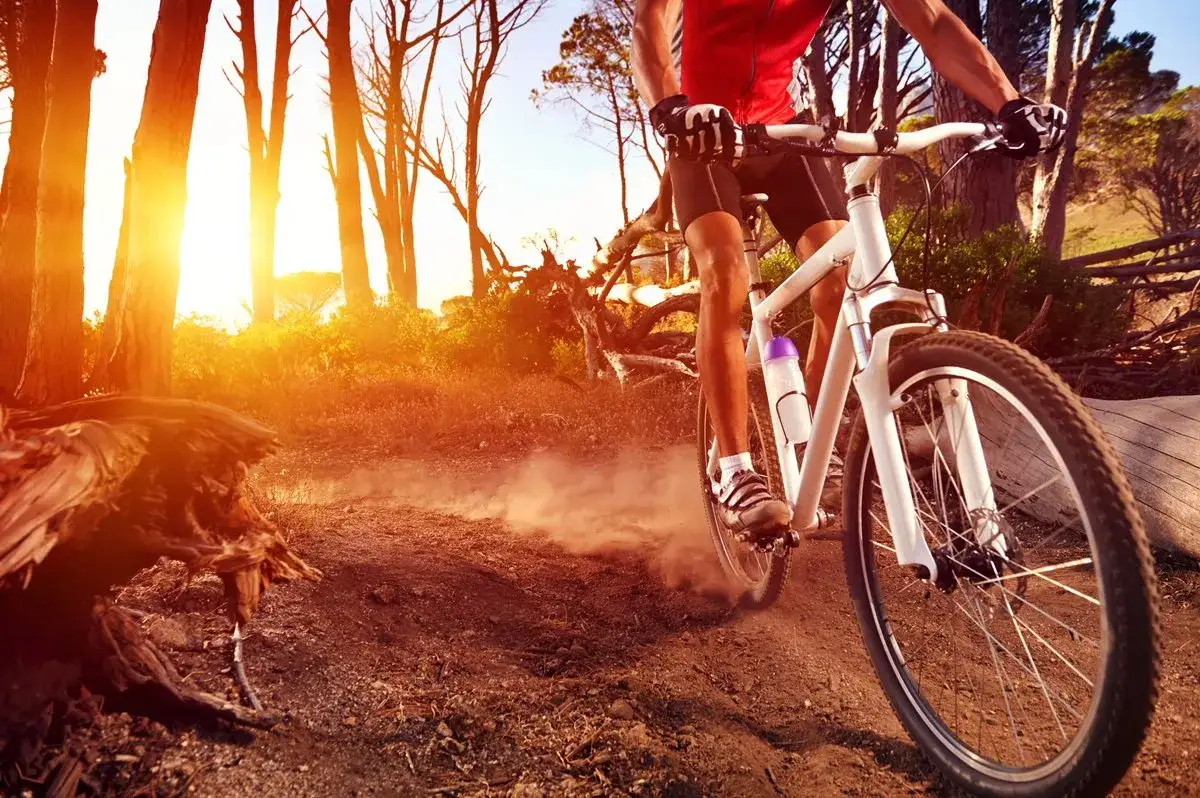 Trasy Rowerowe w Górach: 5 Szlaków dla Każdego Miłośnika Dwóch Kółek