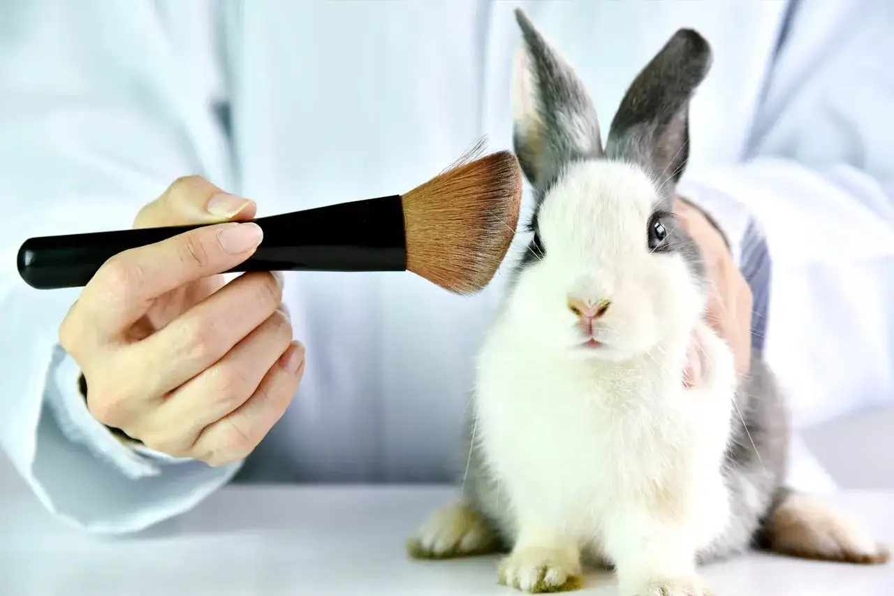 Kosmetik: Tierversuche trotz Verbot? Ihr Guide für den tierfreien Kauf