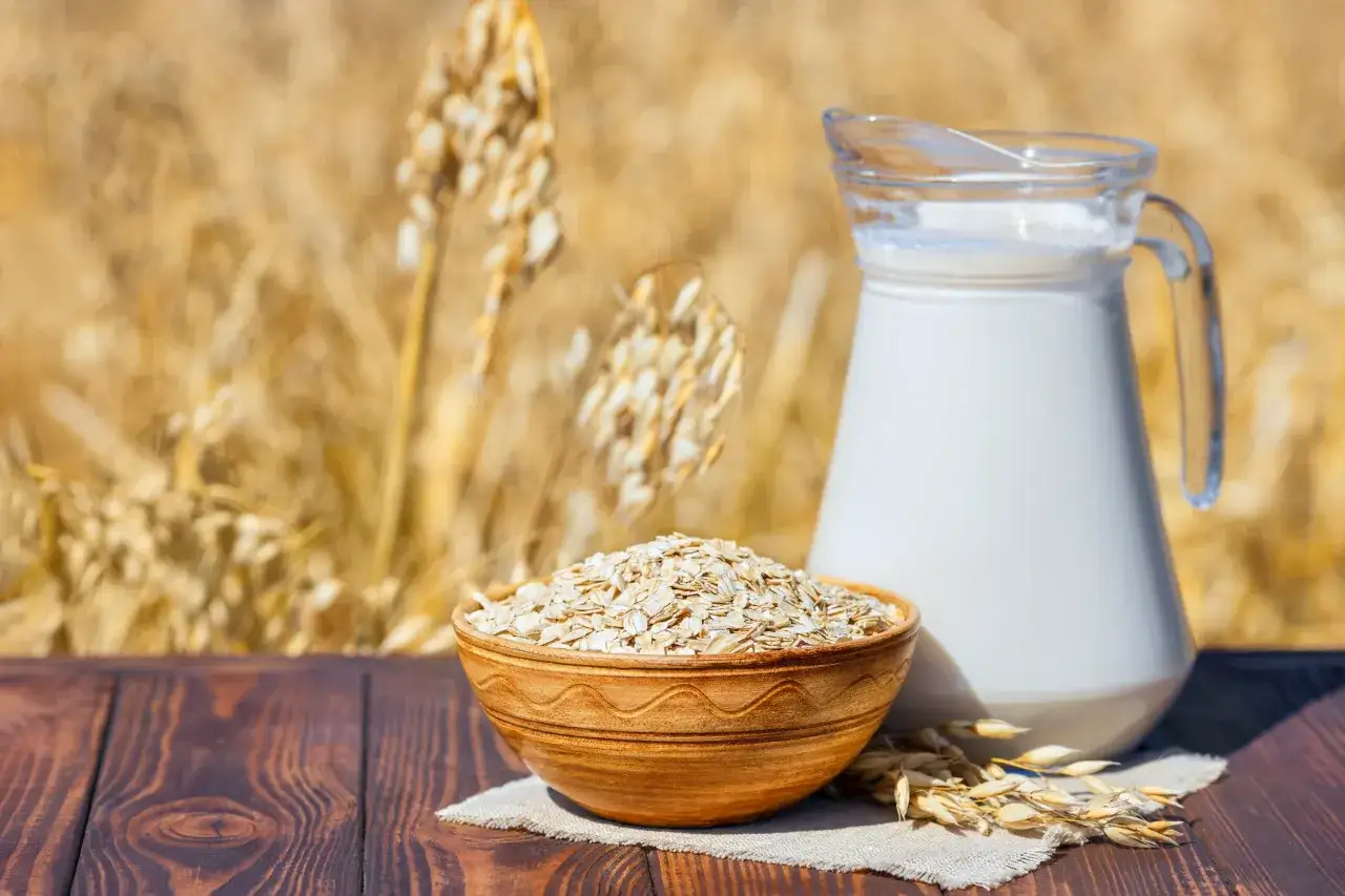 Mleko owsiane w dzbanku i miska płatków owsianych na tle łanu zbóż. Czy mleko owsiane ma gluten? Pytanie, które nurtuje wielu.