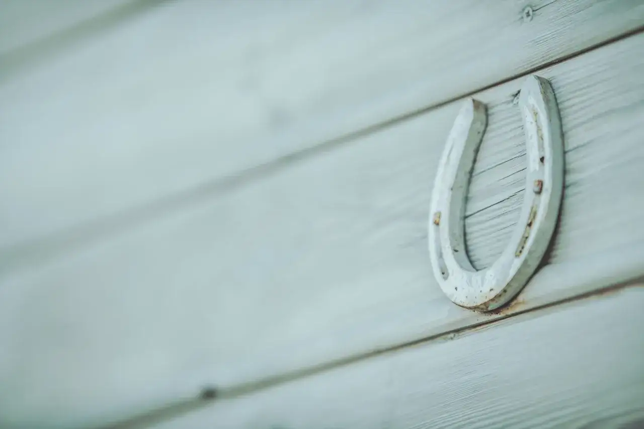 Jaskółka: Symbol szczęścia, nadziei i wierności. Poznaj jej moc!