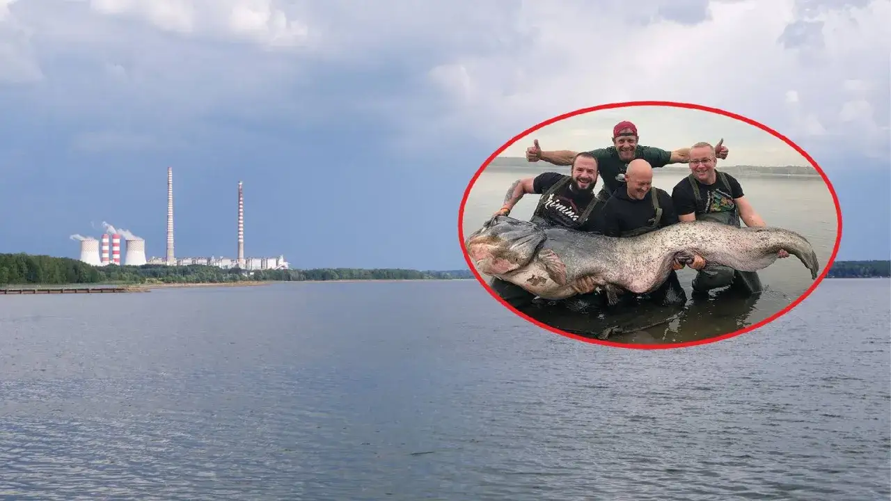 Zalew Porajski wędkarstwo - Gdzie szukać ryb i jak czytać wodę?