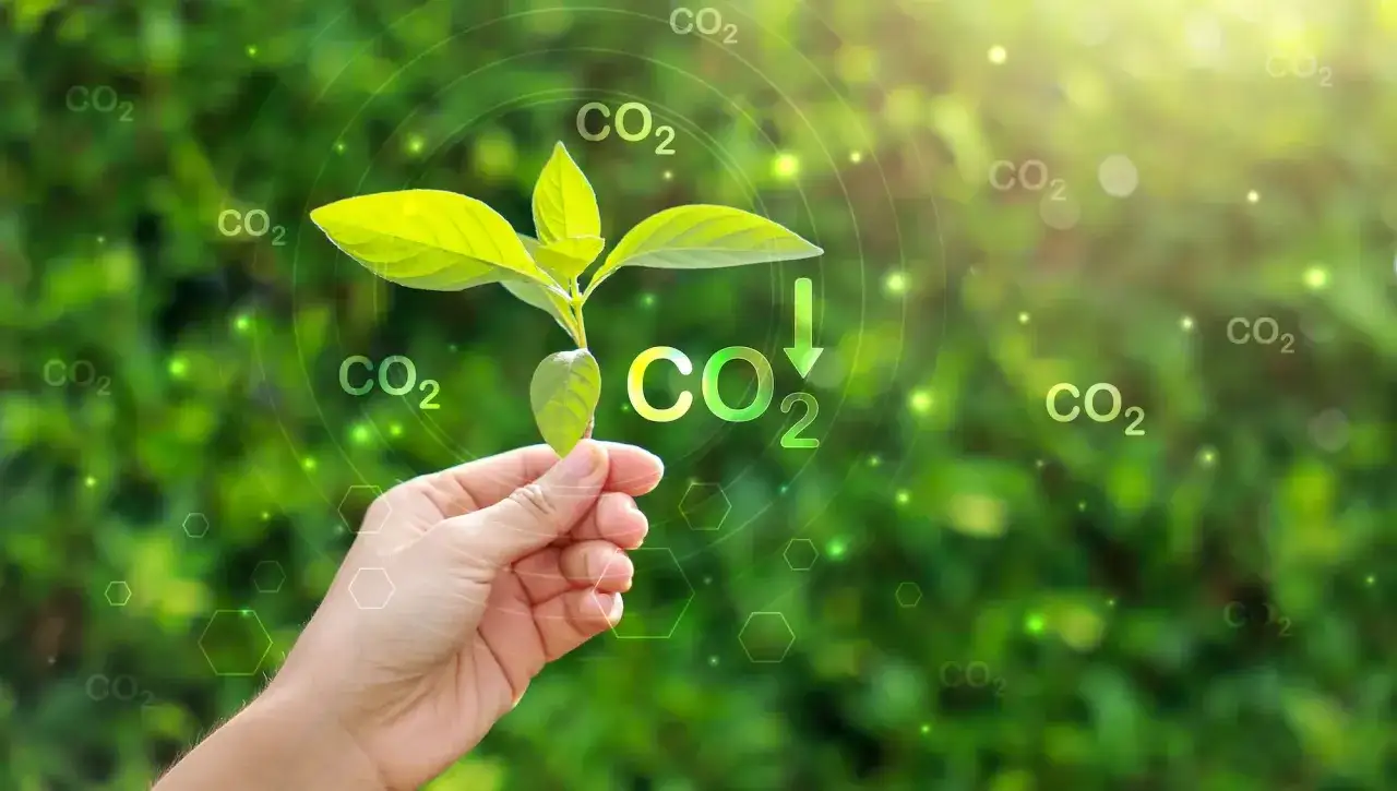 Chiny: Lider emisji CO2 czy zielonej rewolucji?