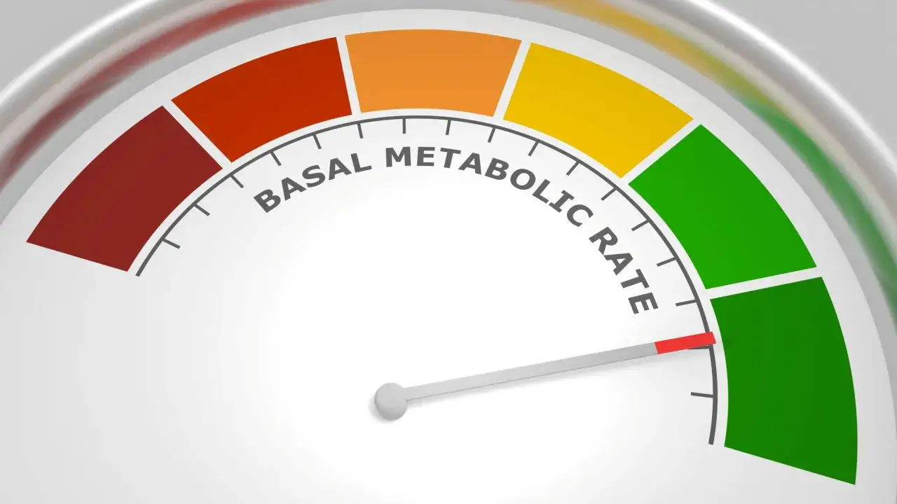 Wskaźnik tempa metabolizmu spoczynkowego. Czerwony obszar sugeruje, co to choroba metaboliczna, zielony to optymalny wynik.