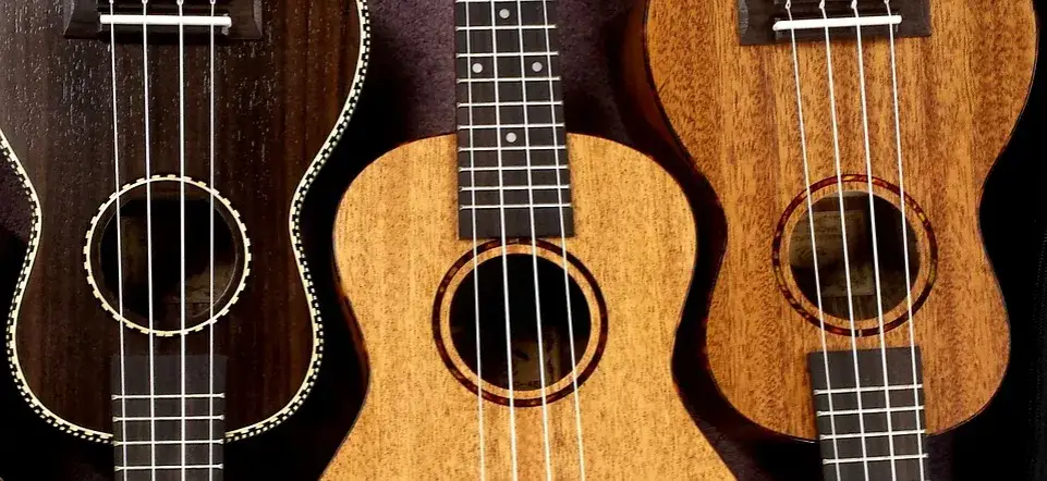 Wszystko co musisz wiedzieć o strunach w ukulele - poradnik muzyczny
