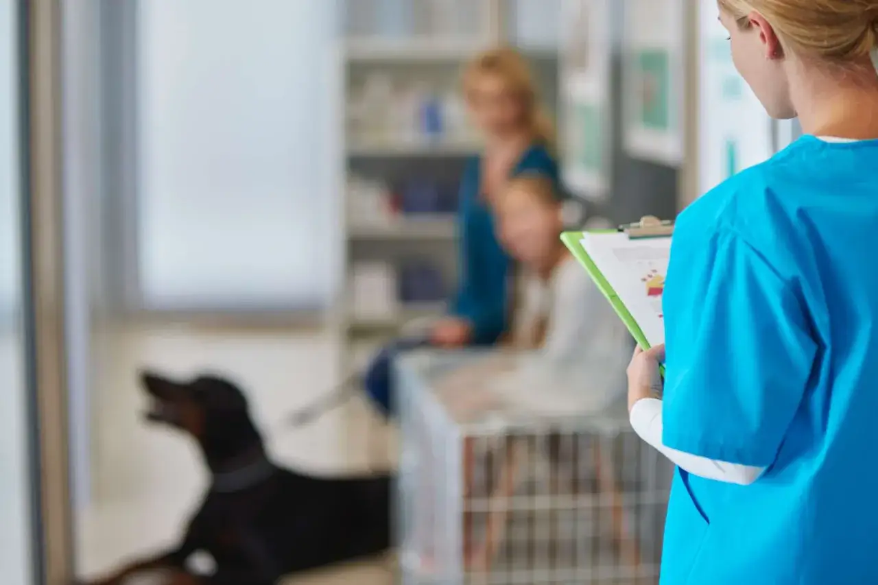 Veterinaria revisa información sobre cuándo esterilizar a una perra. En el fondo, una mujer y un niño esperan con su perro.