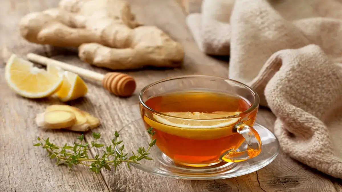 Depura tu cuerpo: Infusiones seguras para hígado y riñones post-fármacos