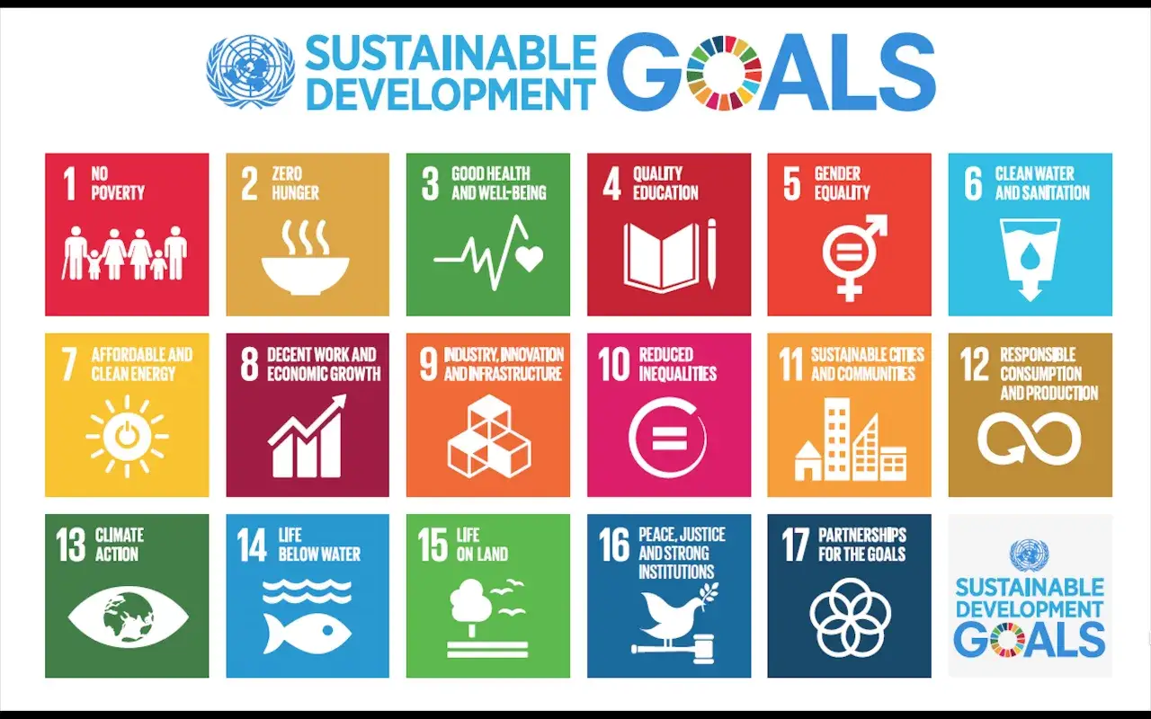 Agenda 2030 cele zrównoważonego rozwoju - jak je osiągnąć i dlaczego to ważne