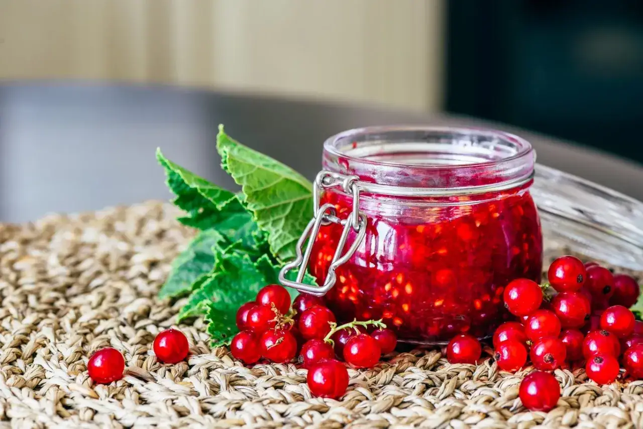 Domowy dżem z czerwonej porzeczki: przepis, porady i sekrety