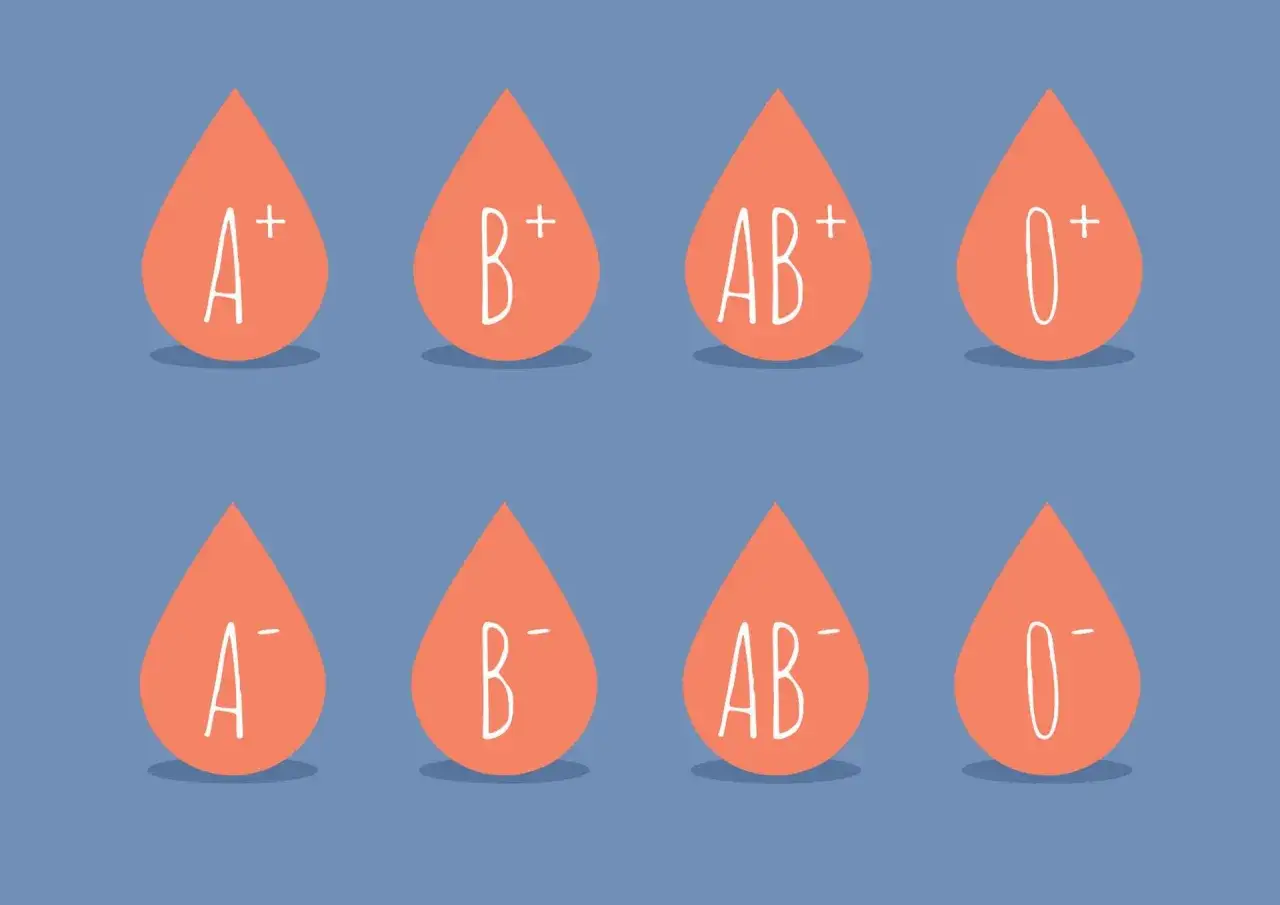 Osiem kropel krwi z oznaczeniami grup: A+, B+, AB+, 0+, A-, B-, AB-, 0-. Ilustracja pokazuje podstawy grup krwi dziedziczenie.