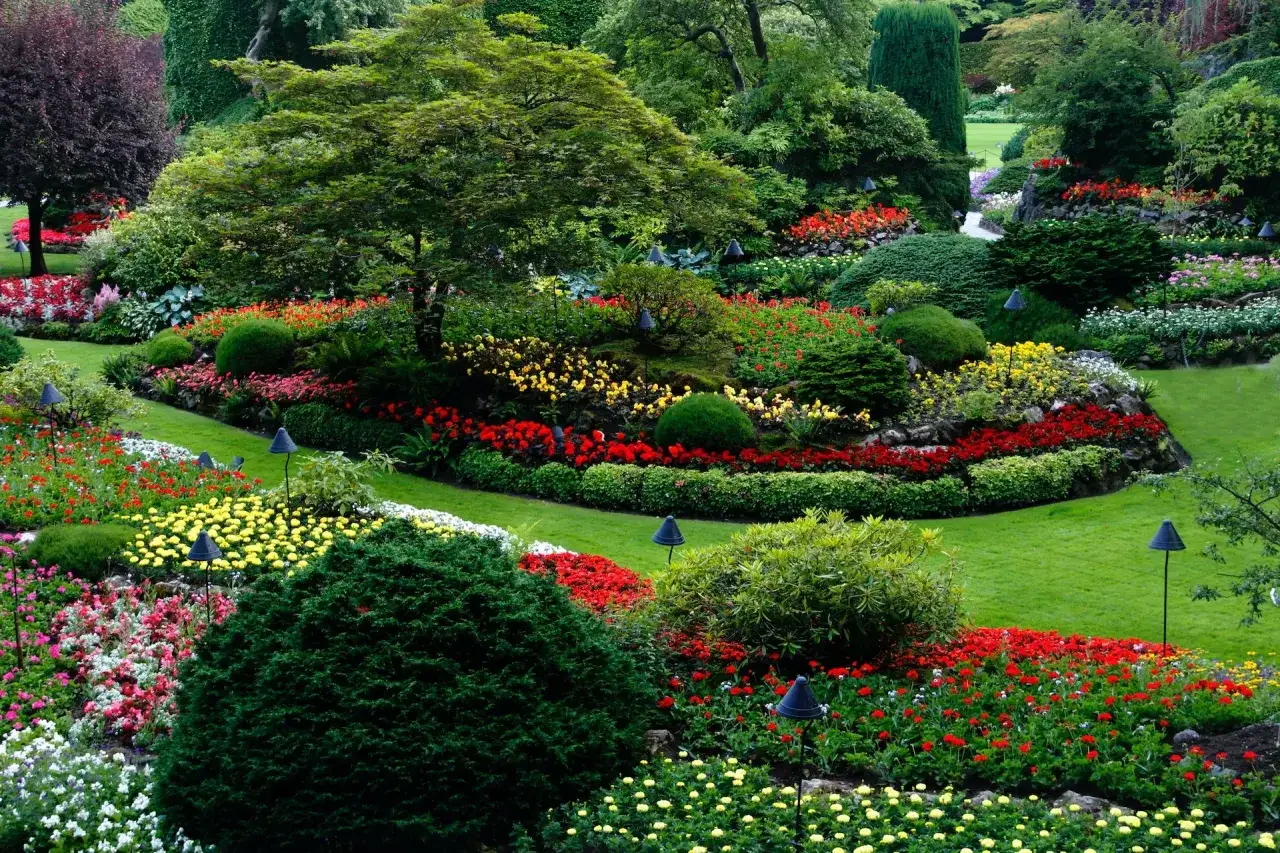 Arbustos que dan sombra: elige los mejores para tu jardín