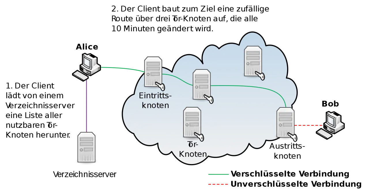 Tor Netzwerk nutzen: Sicher & legal anonym surfen?