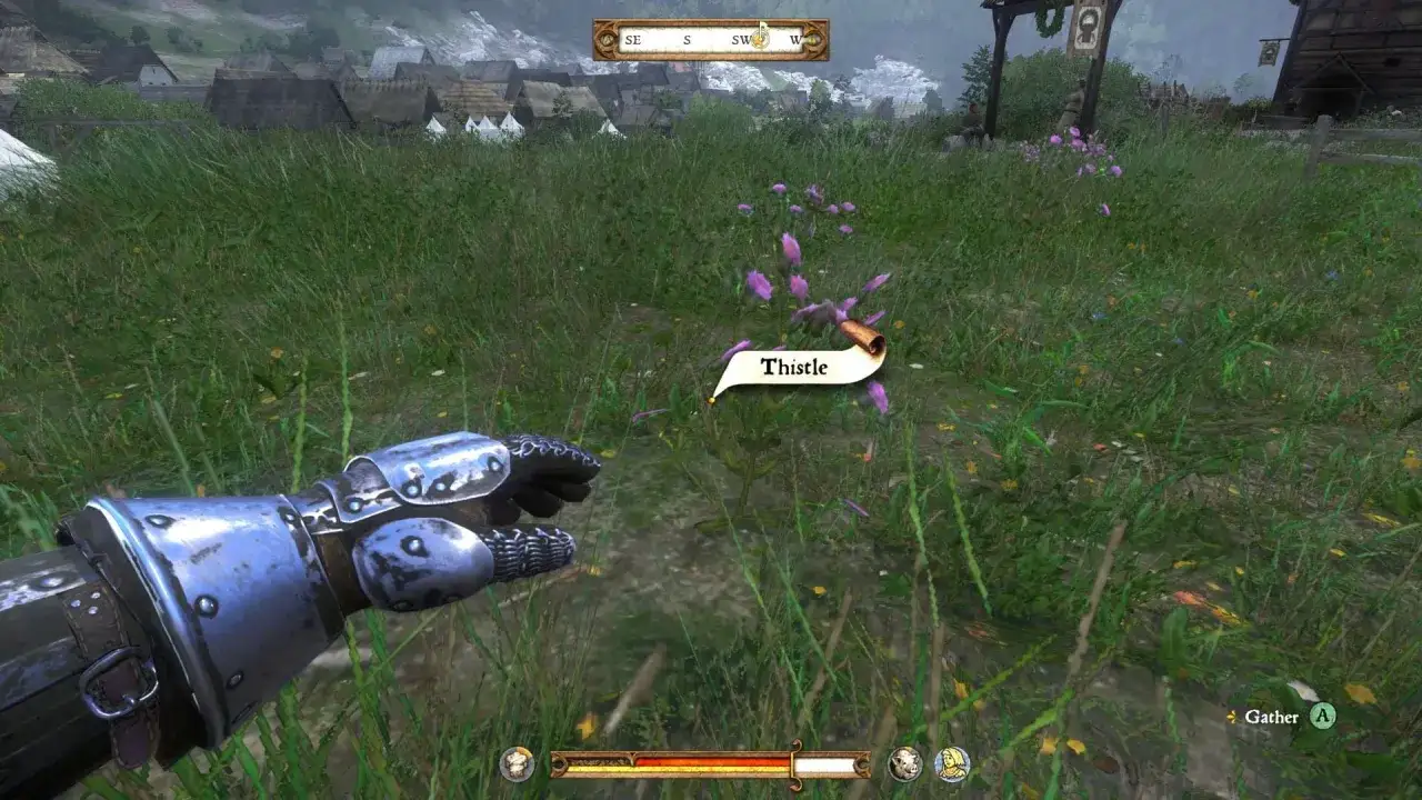 Wskazówka do Kingdom Come Deliverance: zbierz osty, by tworzyć mikstury.