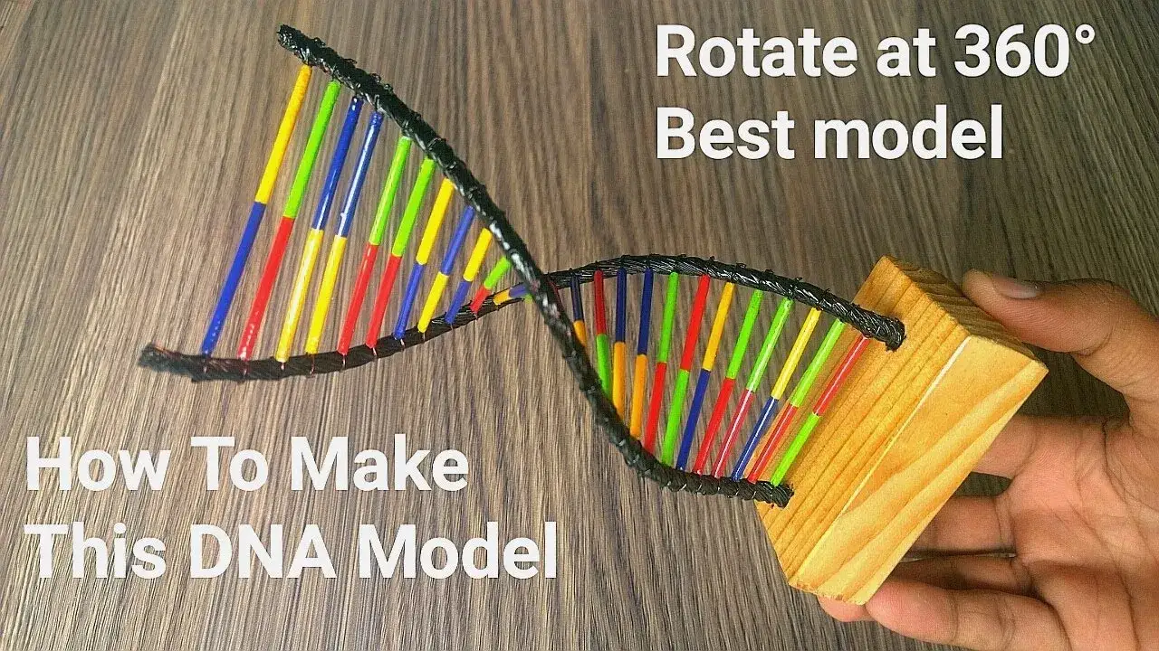 Jak zrobić DNA na biologię - proste kroki do stworzenia modelu