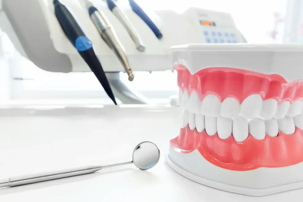 Model szczęki i narzędzia dentystyczne na białym tle.