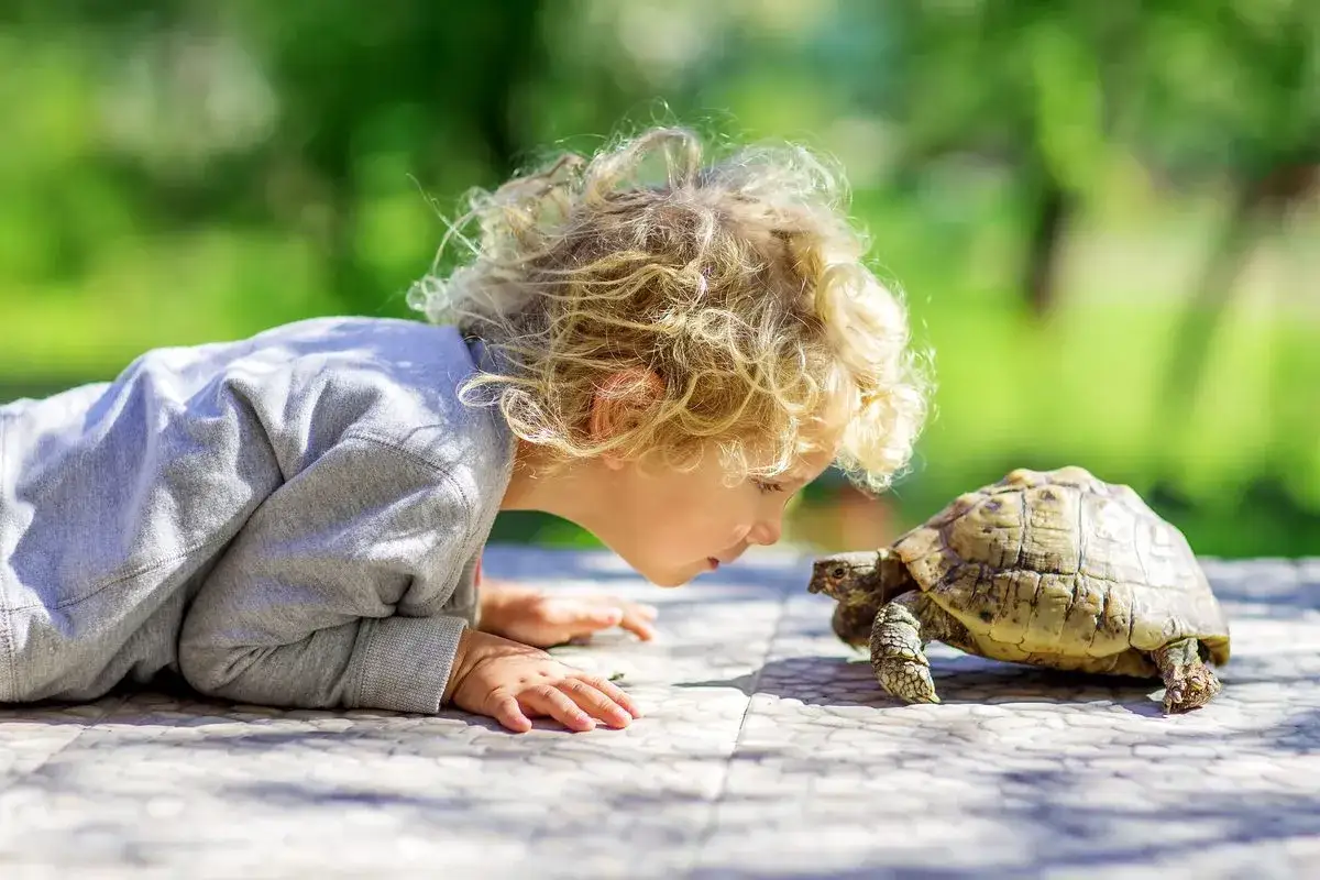 Dziecko z kręconymi blond włosami pochyla się nad żółwiem na zewnątrz.