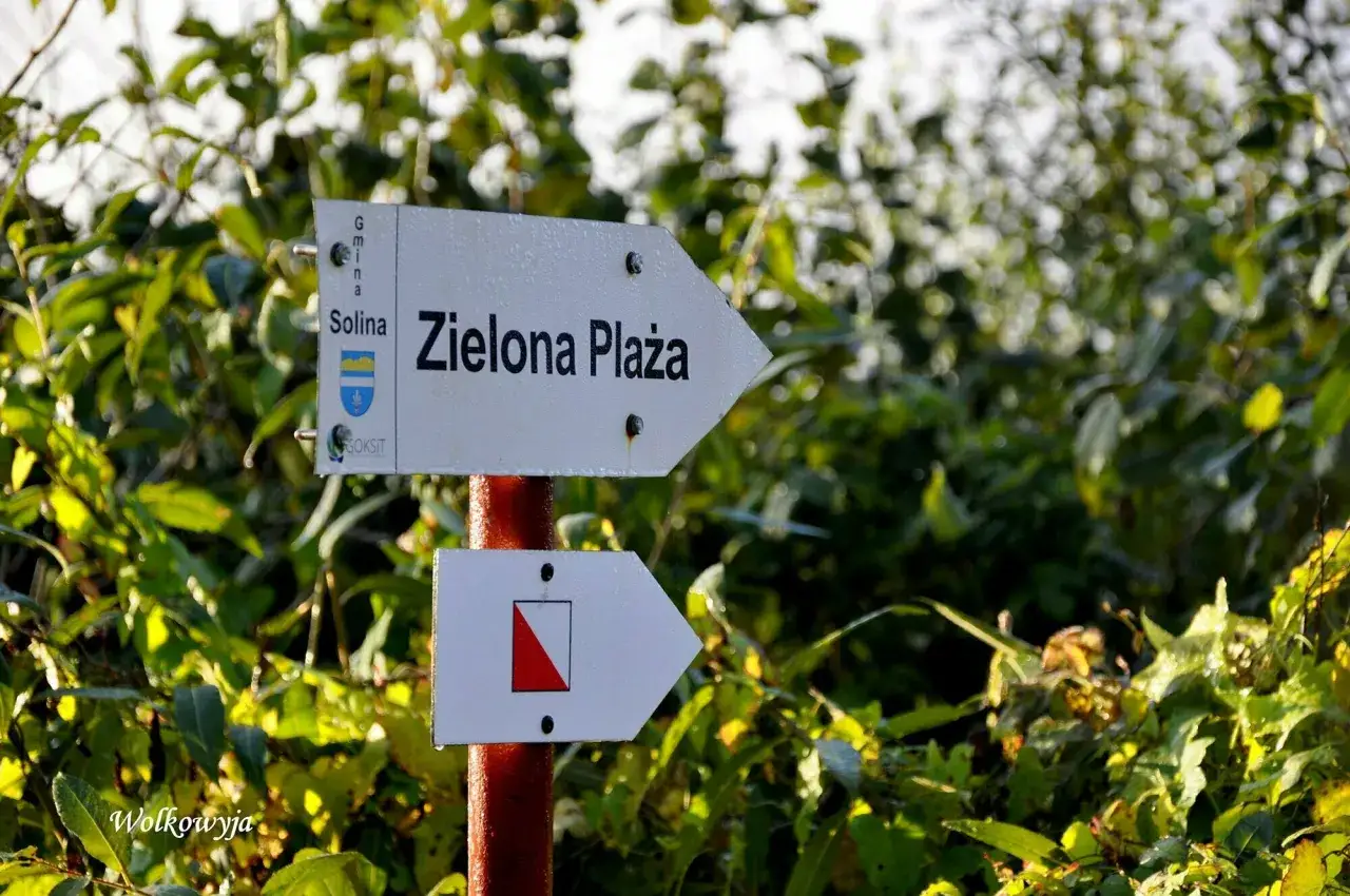 Droga do zielona plaza Wolkowyja. Strzałka kierunkowa wskazuje szlak.
