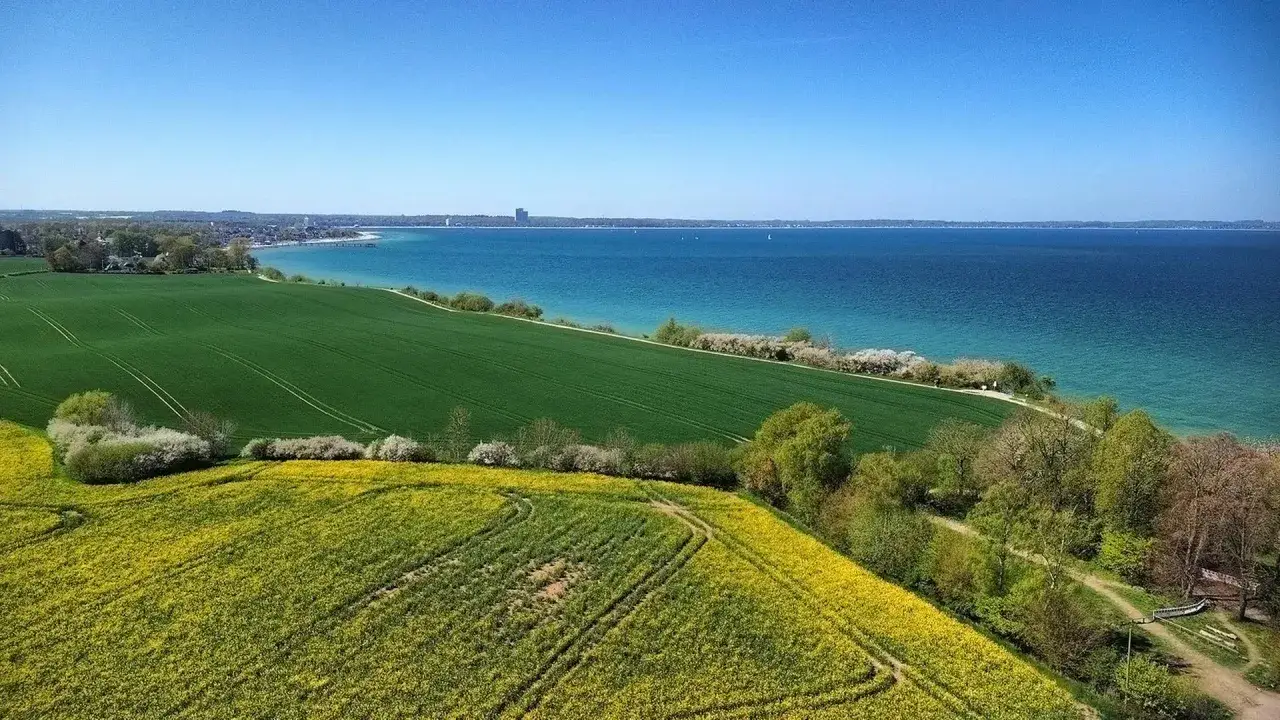 Grüne Felder und Rapsblüten vor der blauen Ostsee und Küstenlinie der Lübecker Bucht.