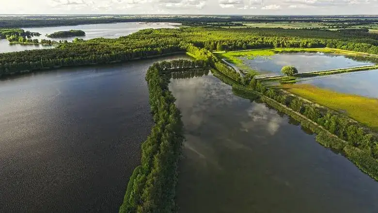 Rezerwat przyrody Stawy Milickie: Odkryj unikalną przyrodę i atrakcje