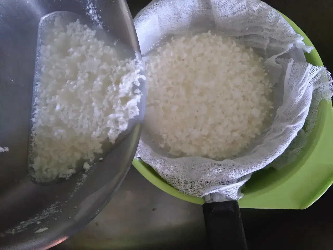 Jak zrobić bryndzę z buncu? Domowy przepis krok po kroku