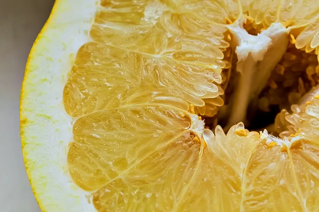 Czy pies może jeść pomelo? Ważne informacje o ryzyku dla zdrowia psa
