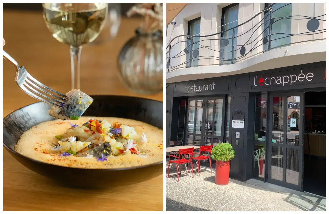 Délicieuse nourriture française dans un restaurant élégant. Un plat de poisson savoureux avec une touche de couleur, servi avec du vin blanc.