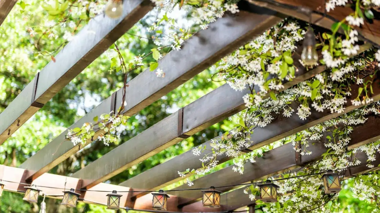 Drewniana pergola z kwitnącym jaśminem i lampkami w stylu lampionów.