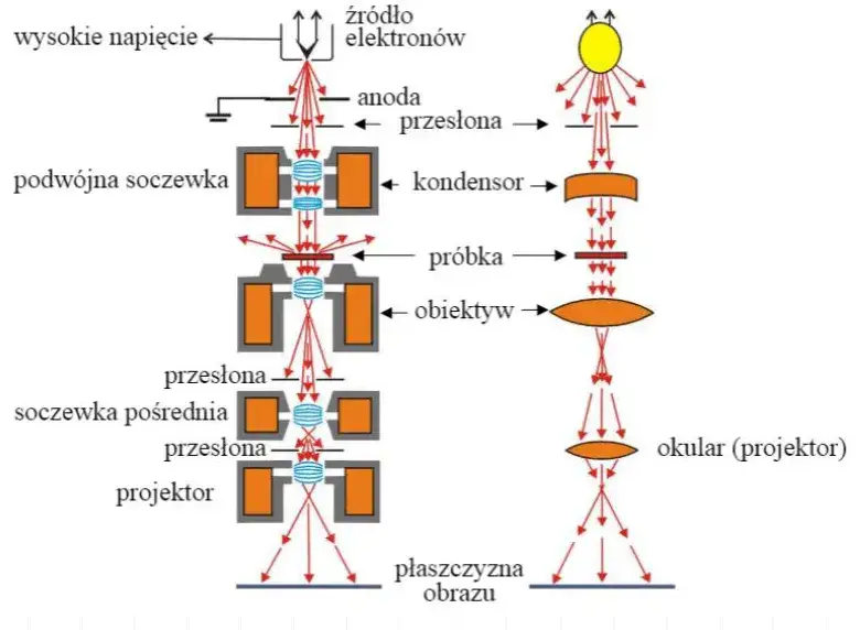 Co to jest SEM w chemii? Definicja, zastosowania i przykłady mikroskopii elektronowej