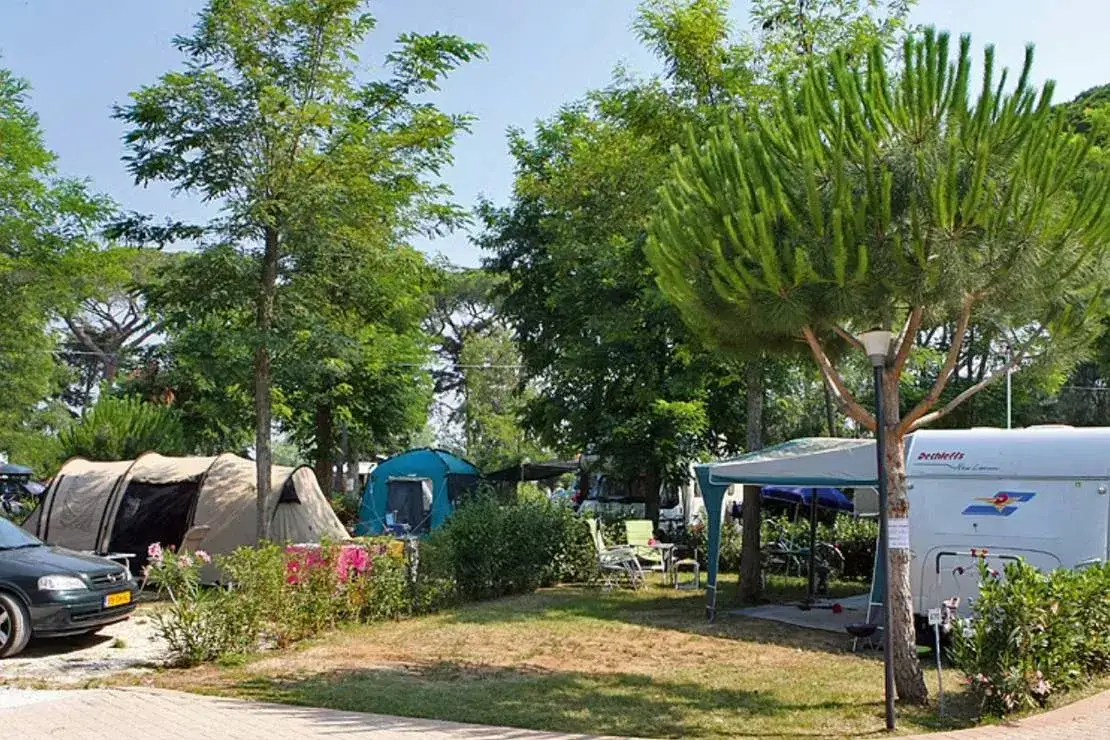  Park Albatros | Camping Toskania | Polecamy kamping w Włochach