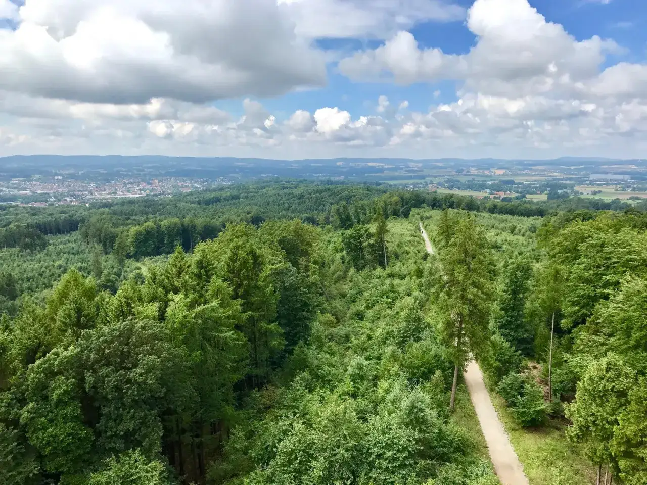 Blick über grüne Wälder und eine Stadt in der Ferne bei bewölktem Himmel.