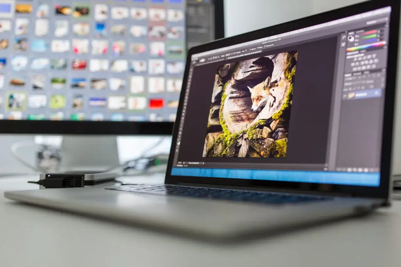 Lisek w kadrze programu Photoshop na ekranie laptopa.
