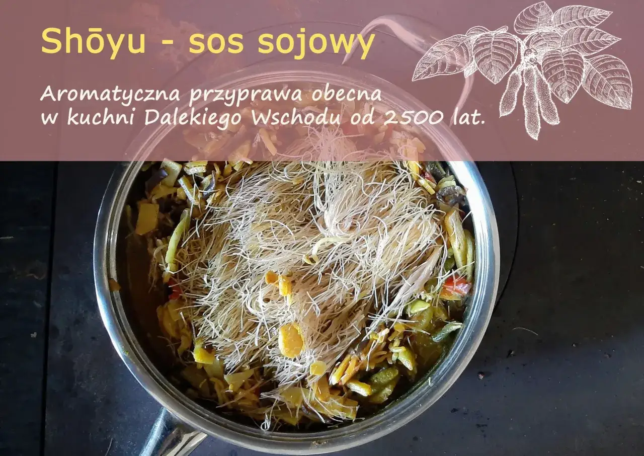 Garnek z daniem z makaronem i warzywami, ozdobiony rysunkiem liści soi.