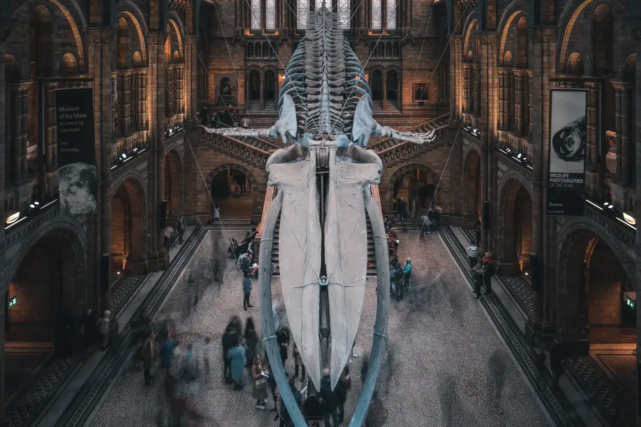 Londra gratis: Musei, parchi e attrazioni imperdibili a costo zero