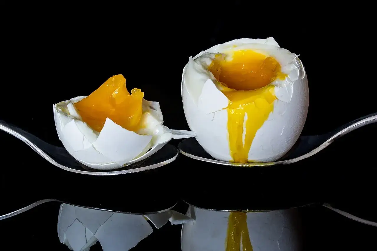 Jajka a cholesterol: Czy słusznie się ich obawiasz? Fakty i mity